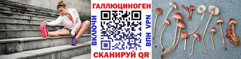 Псилоцибиновые грибы Psilocybe  мориарти Telegram  Урень  где продают наркотики 